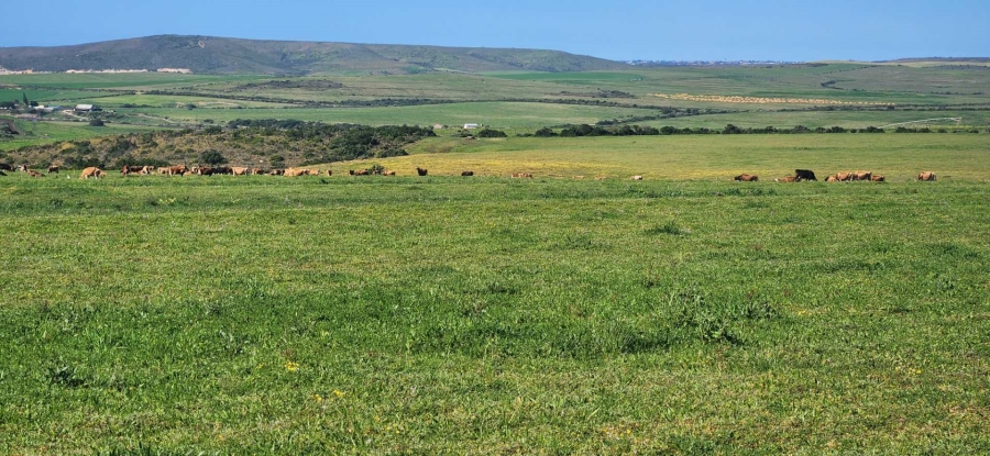 8 Bedroom Property for Sale in Mossel Bay Rural Western Cape